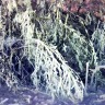 Frozen Niagara